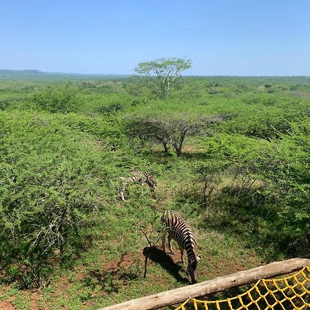 Mudhouse Zululand Villa Hluhluwe Kültér fotó