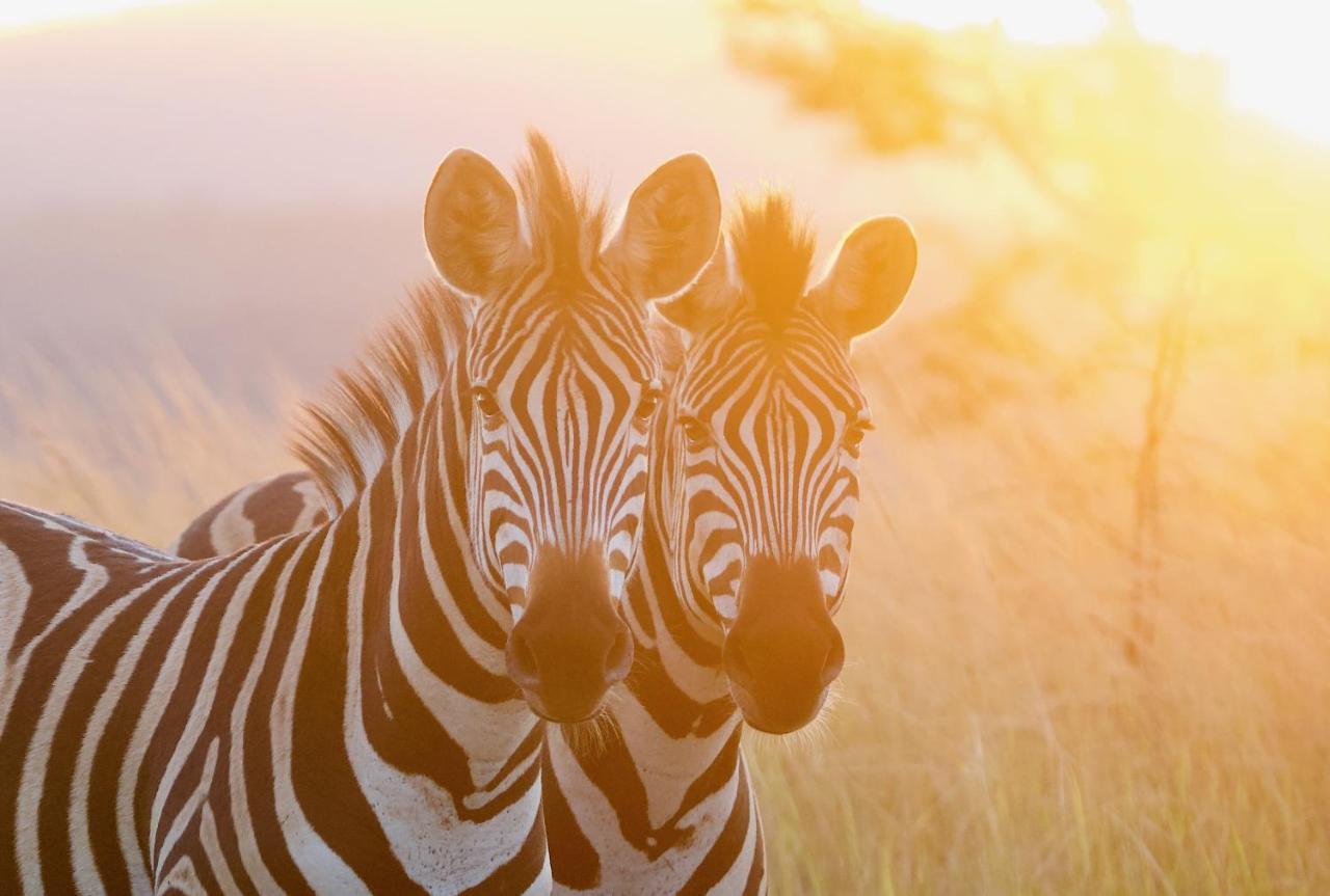 Mudhouse Zululand Villa Hluhluwe Kültér fotó