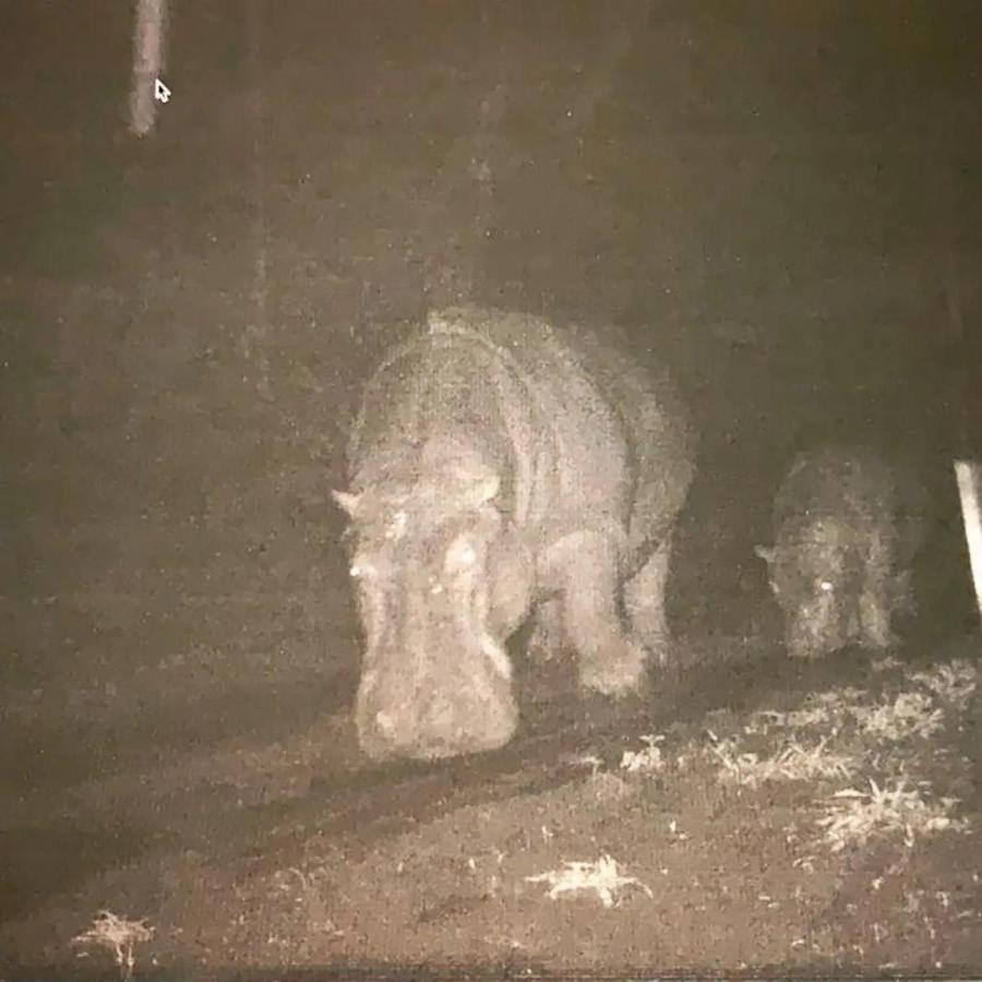 Mudhouse Zululand Villa Hluhluwe Kültér fotó