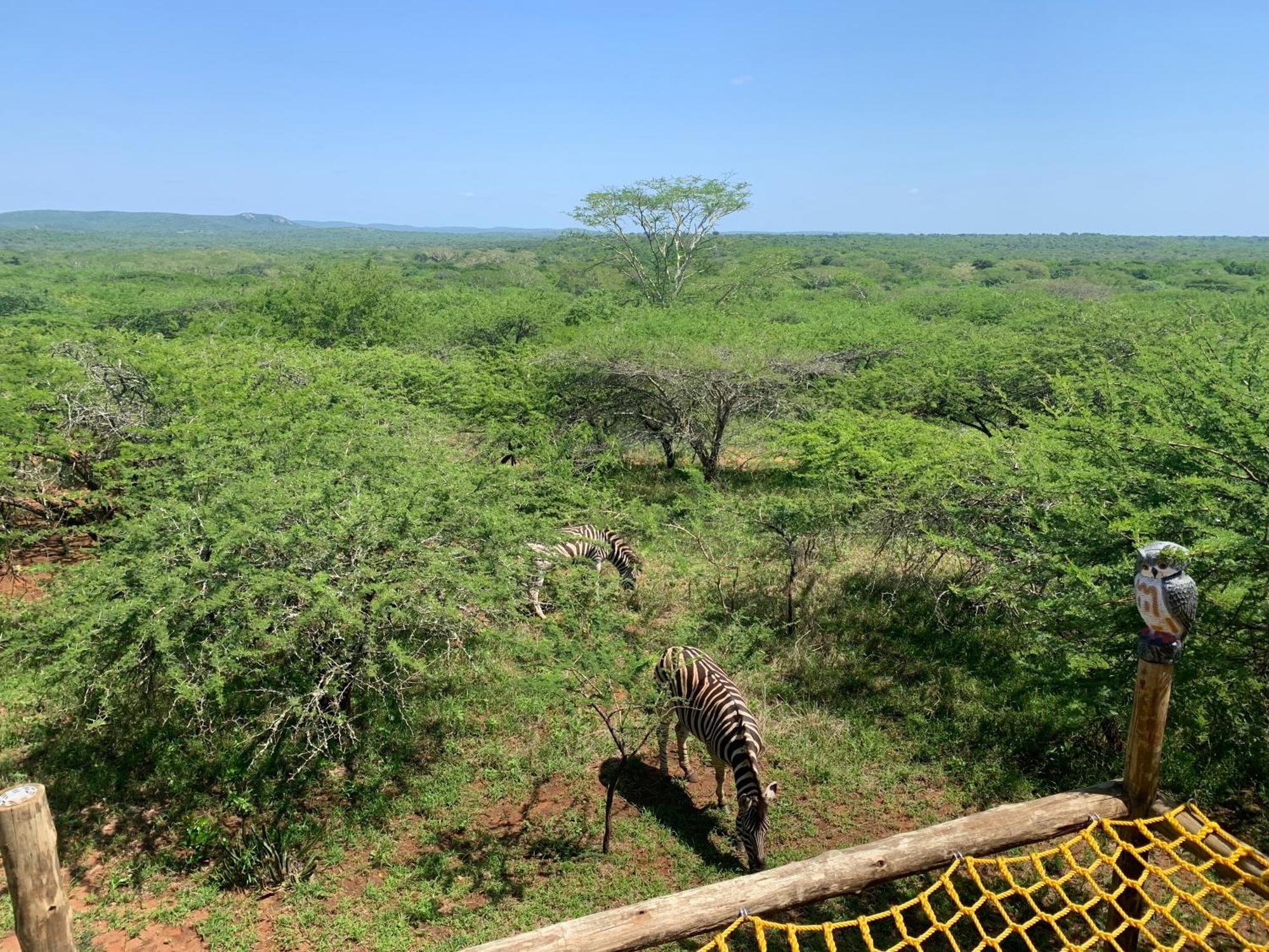 Mudhouse Zululand Villa Hluhluwe Kültér fotó
