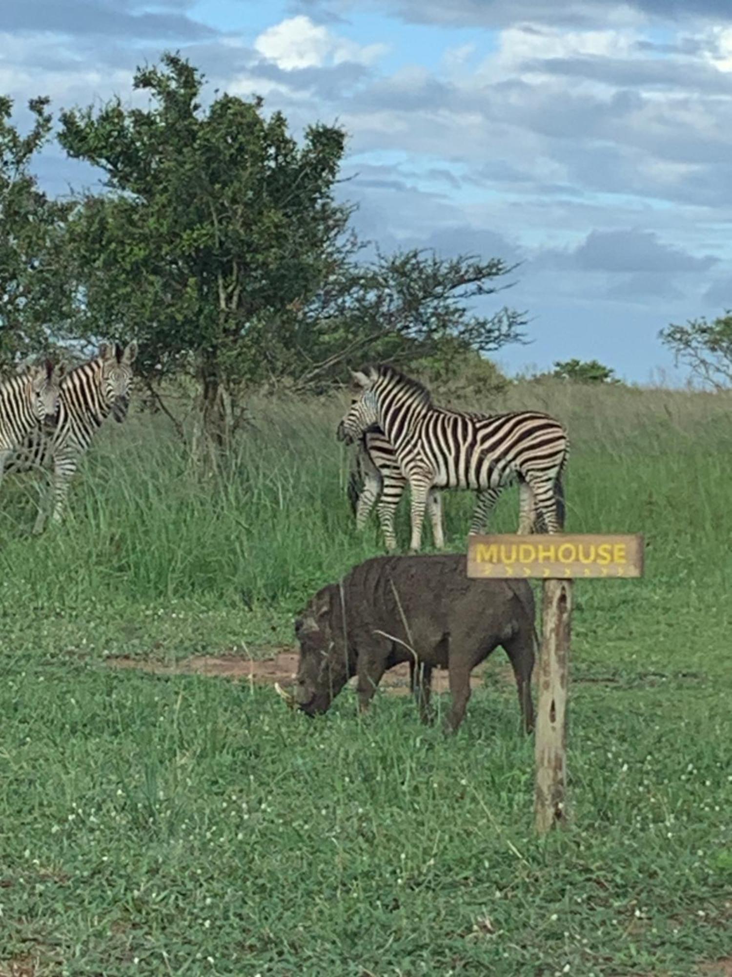 Mudhouse Zululand Villa Hluhluwe Kültér fotó