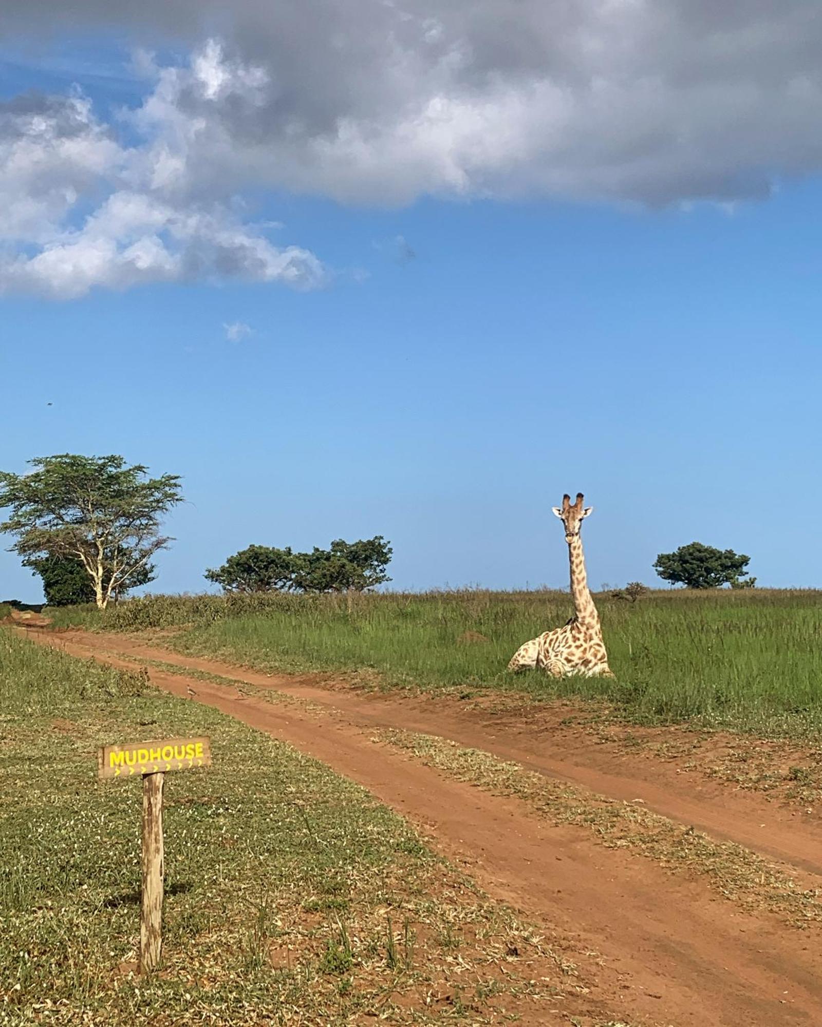 Mudhouse Zululand Villa Hluhluwe Kültér fotó