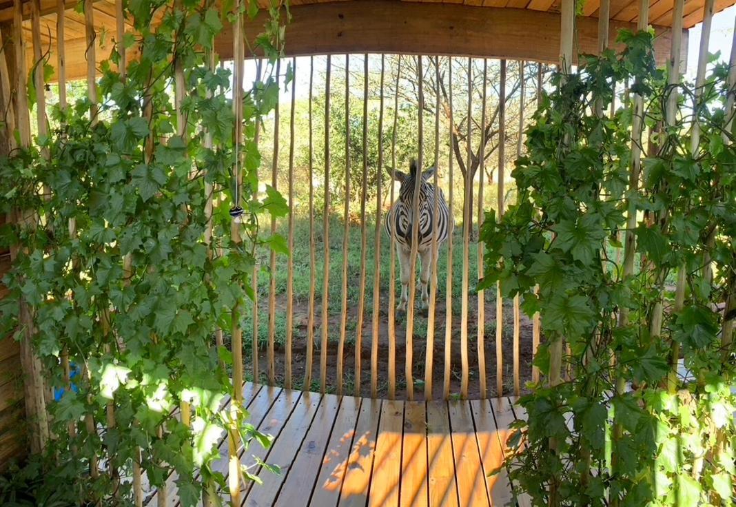 Mudhouse Zululand Villa Hluhluwe Kültér fotó